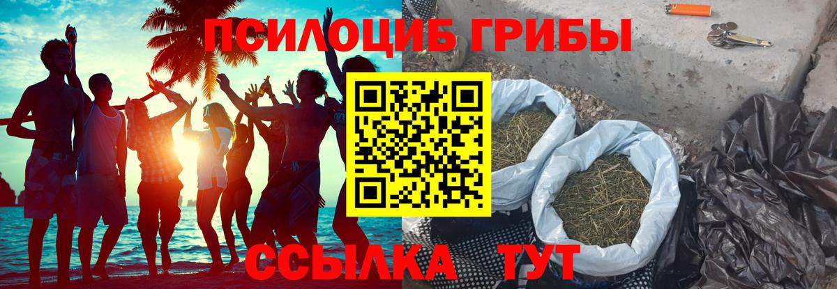 Галлюциногенные грибы GOLDEN TEACHER  Вход с VPN  Нижнекамск 